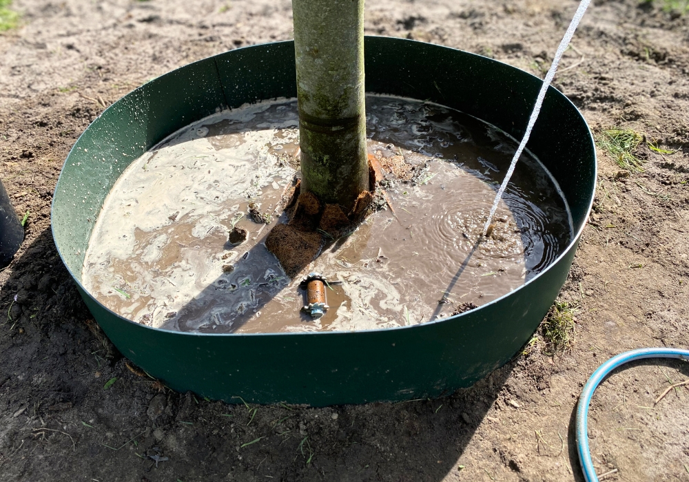 Blog water geven GreenMax