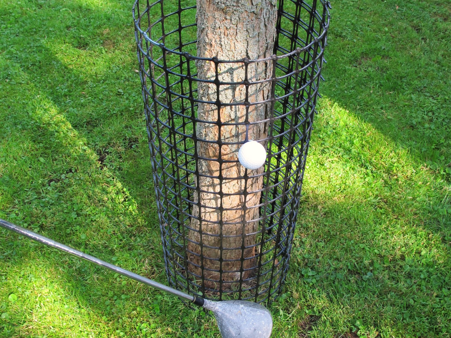 Stambescherming golfballen