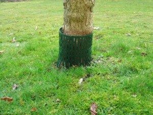 TreeProtect - Protect trees from mowing damage | GreenMax