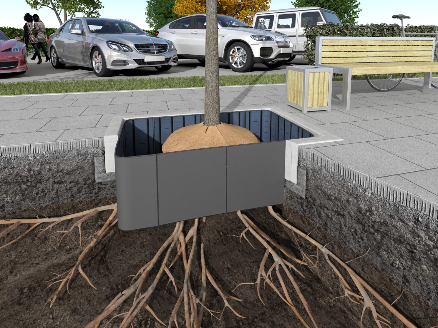 Tree Root Guide GreenMax green solutions