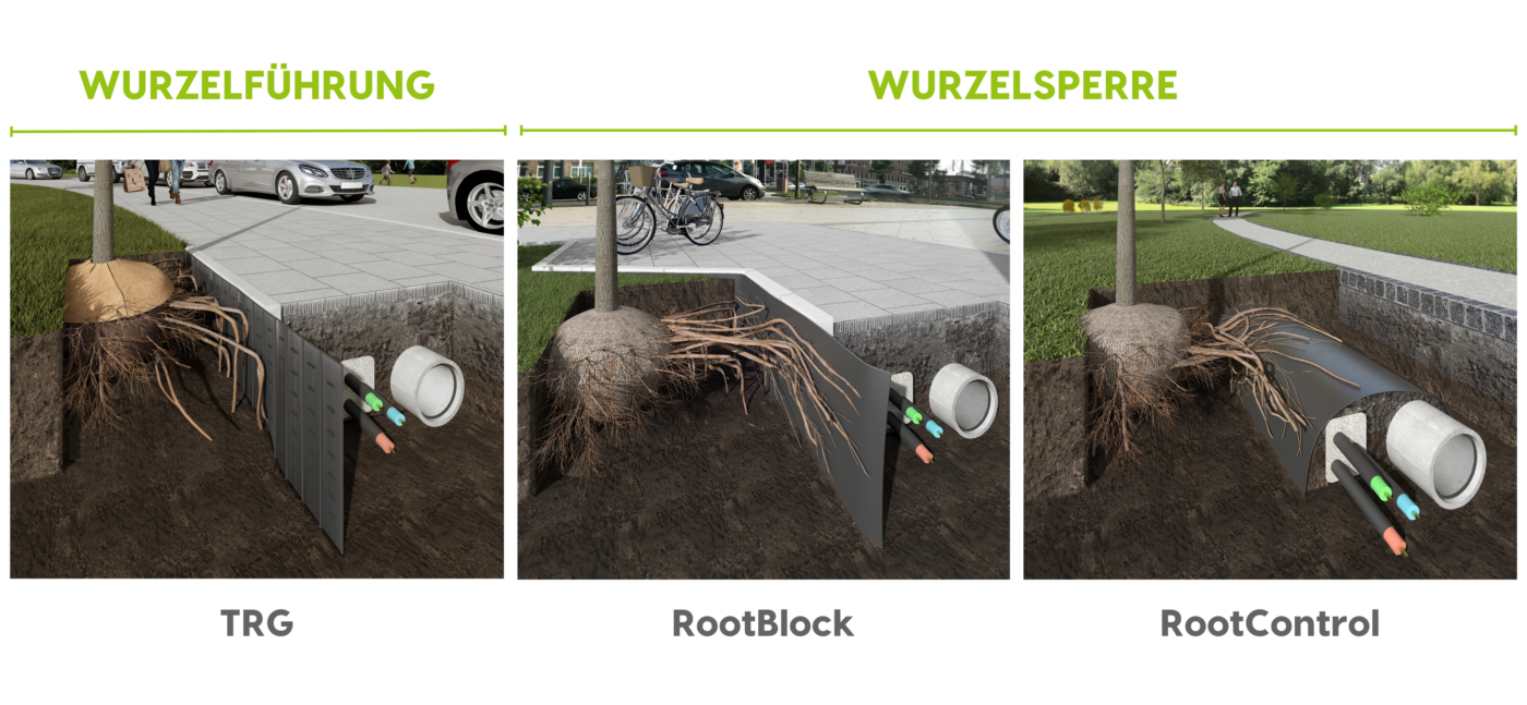 33+ Wurzelsperre Für Gräser, Um die ausbreitung des grases im