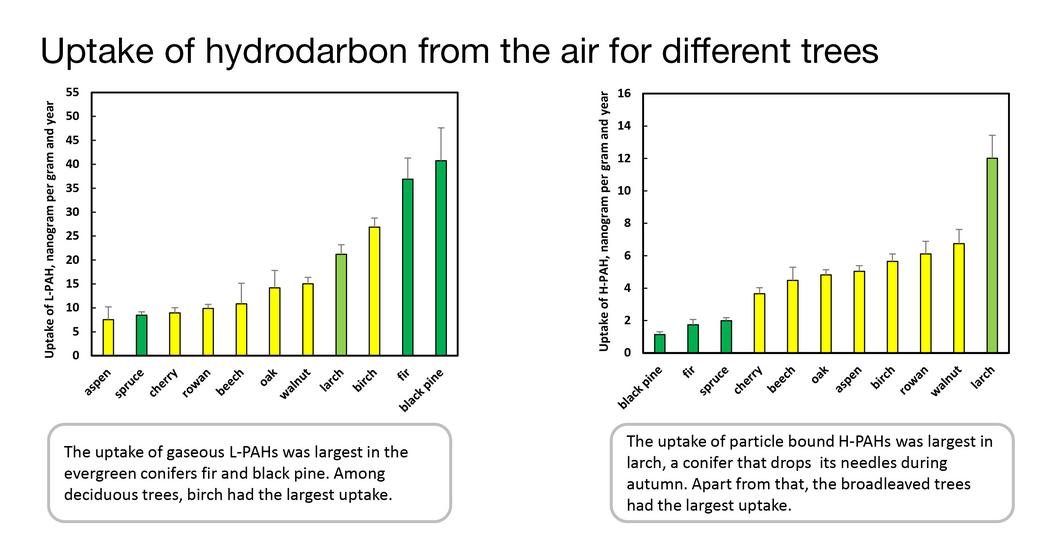 Graph-uptake-of-hydrocarbon-for-different-species