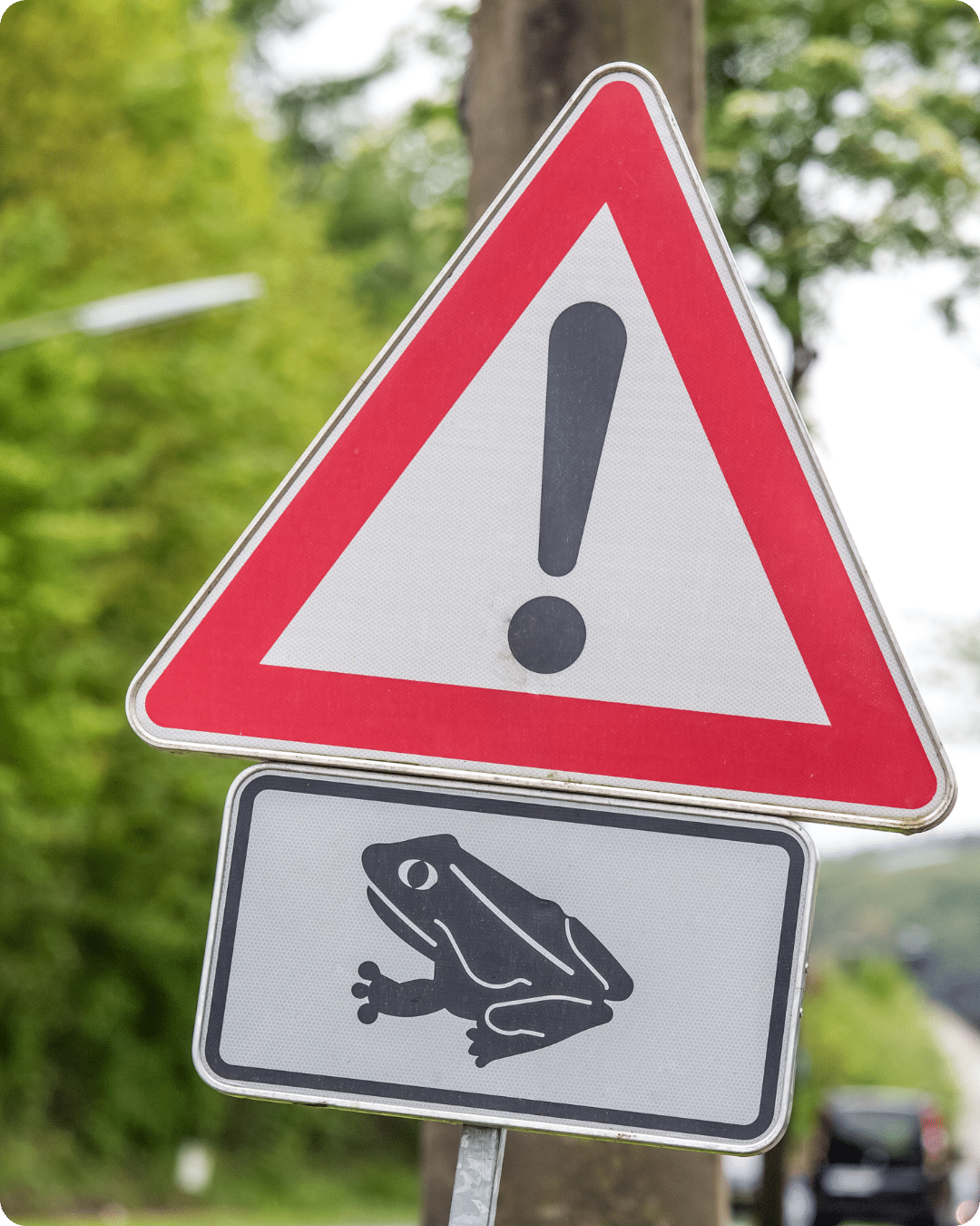 Workshop biodiversiteit beschermen