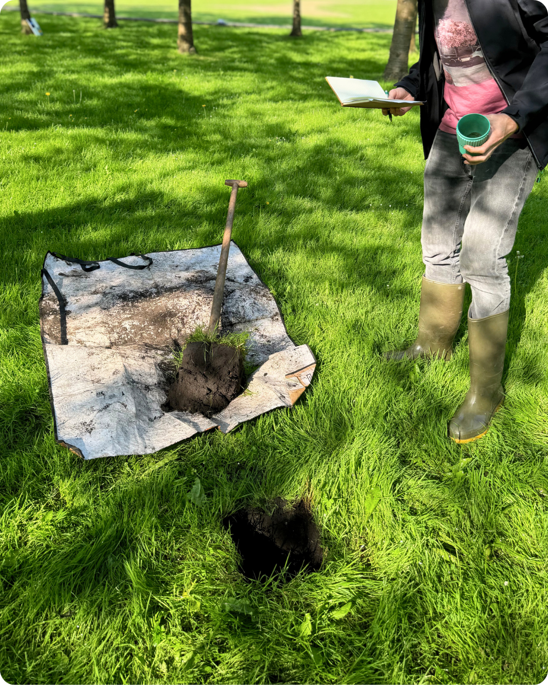 Workshop bodemverbetering