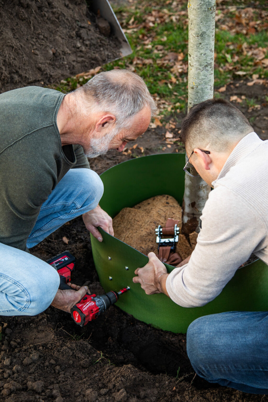 Greenmax Jubileumboom