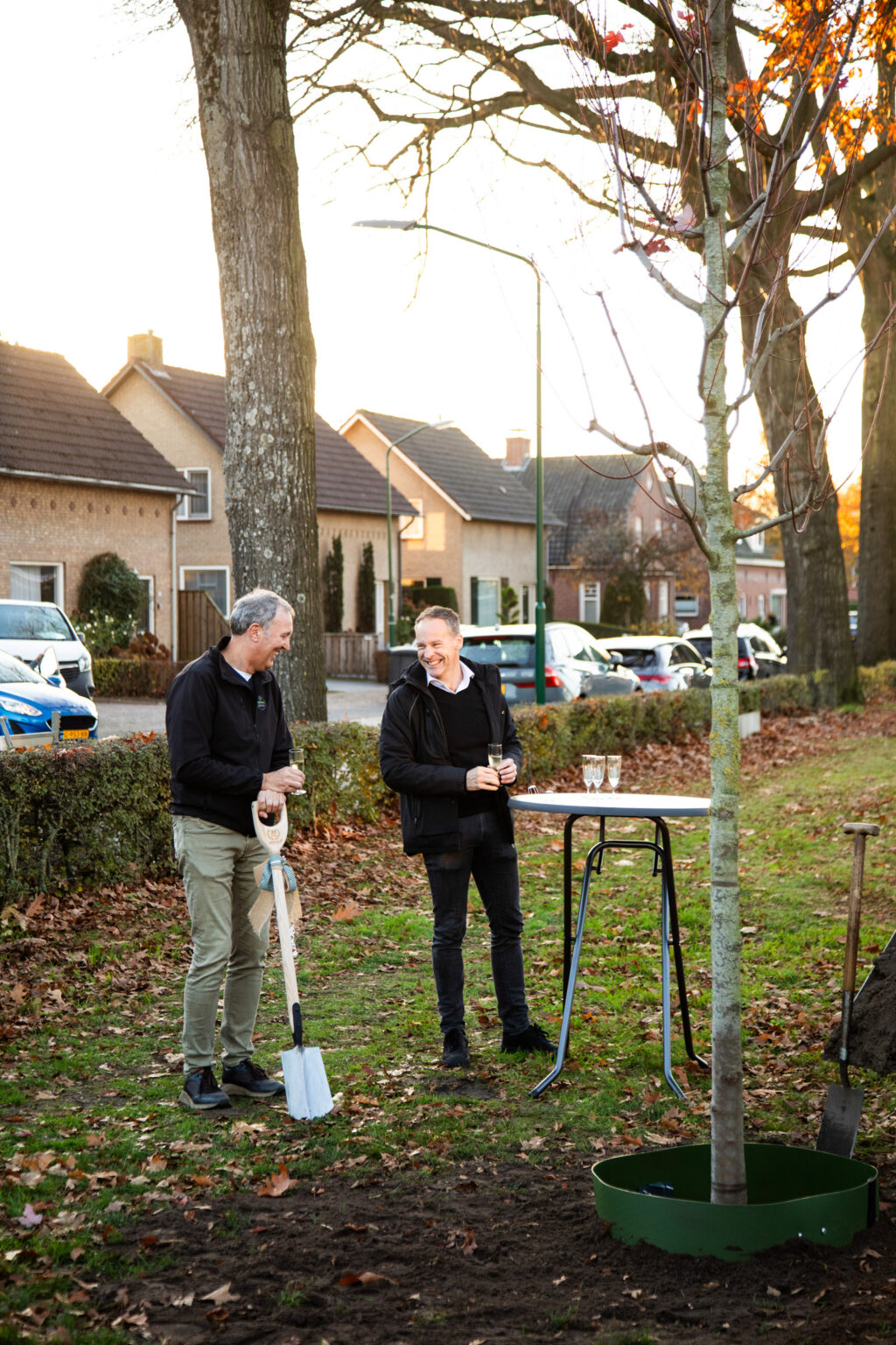 Greenmax Jubileumboom