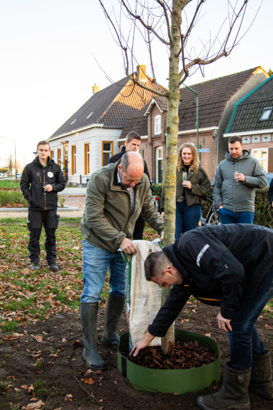 GreenMax jubileumboom