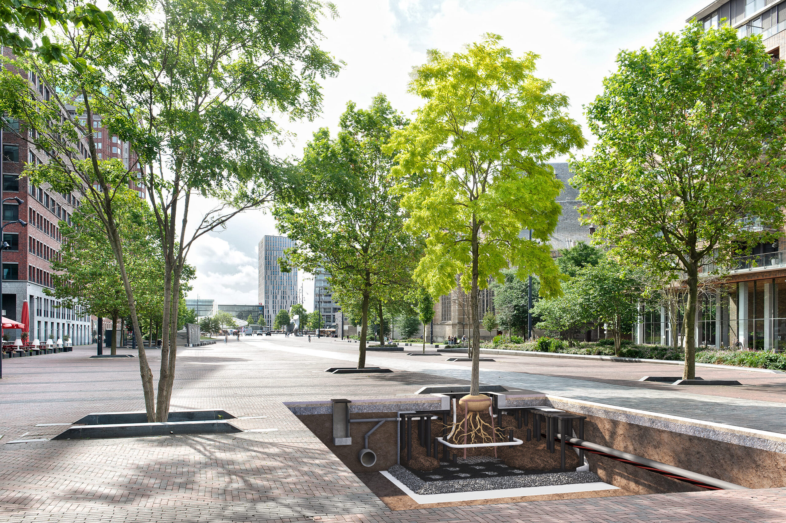 Groeiplaatsinrichting stadsbomen