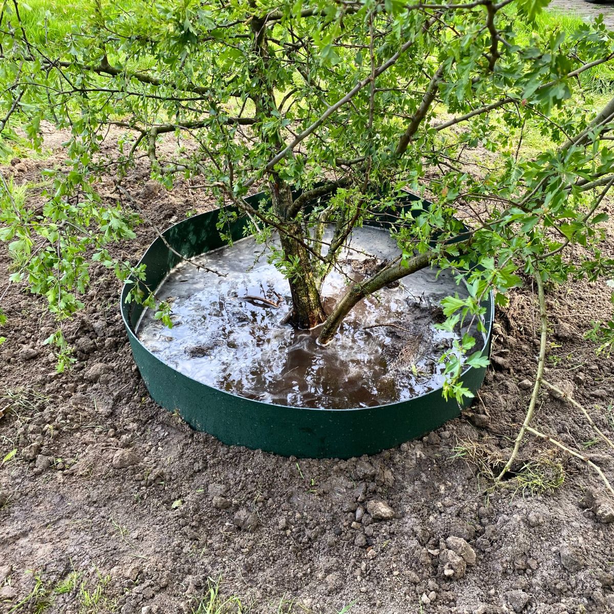 Gietranden - optimale bewatering voor bomen