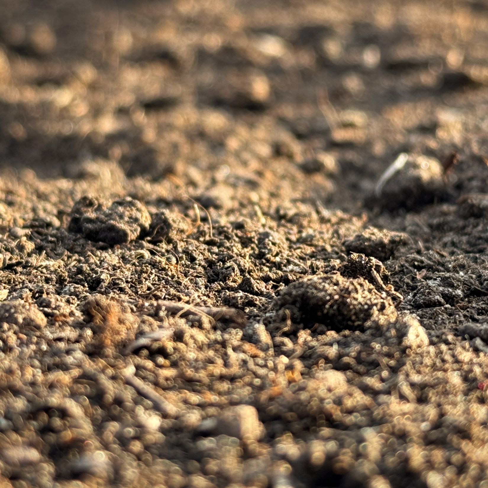 GreenMax - bodemverbetering