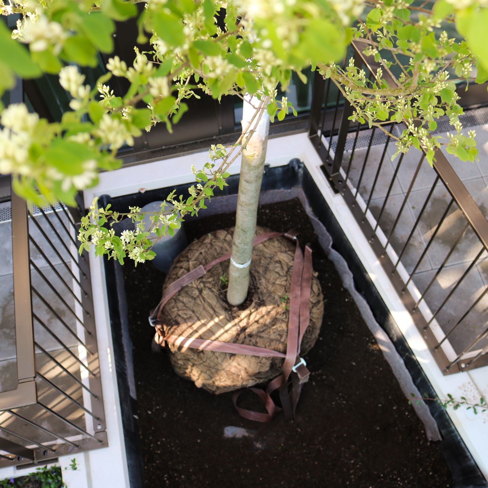 GreenMax - verankering