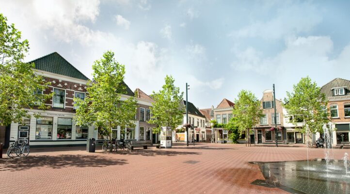 Integraal ontwerp van de openbare ruimte met bomen, waterberging en verharding - GreenMax