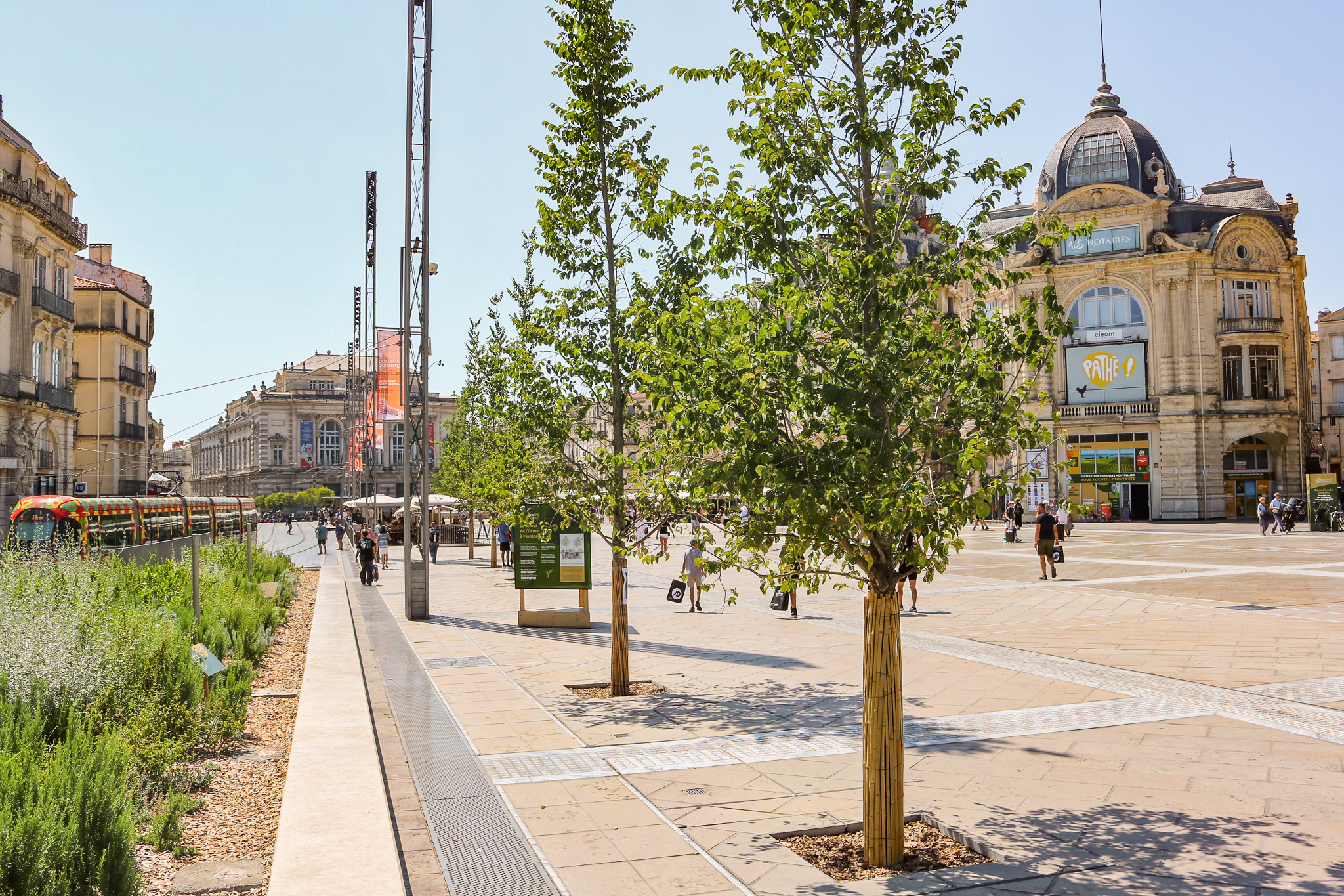 Place de la Comedie Montpellier - Landschapsarchitecten - GreenMax