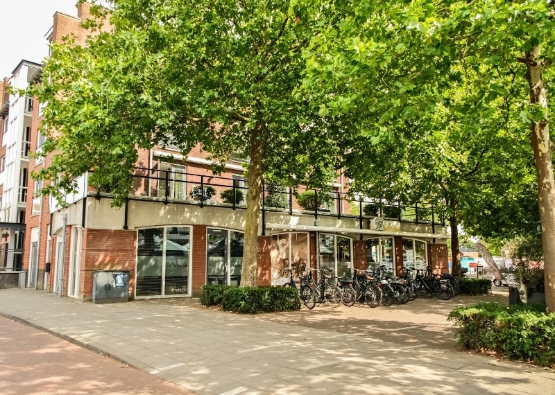 Sint Janplein Boekel Nederland - Tree Root Guiding - GreenMax