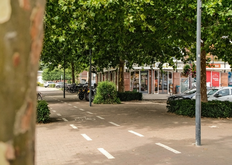 Sint Janplein Boekel Netherlands - GreenMax - Tree Root Guiding - Root Guidance (4)