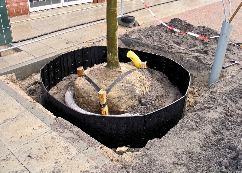 Sint Janplein Boekel Netherlands - GreenMax - Tree Root Guiding - Root Guidance (3)