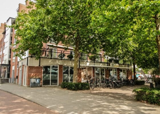 Sint Janplein Boekel Netherlands - GreenMax - Tree Root Guiding - Root Guidance (4)