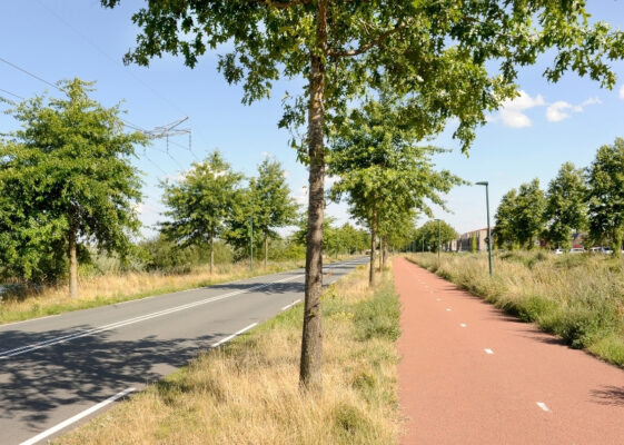 Beljaartlaan Dongen Tree Root Guiding GreenMax (2)