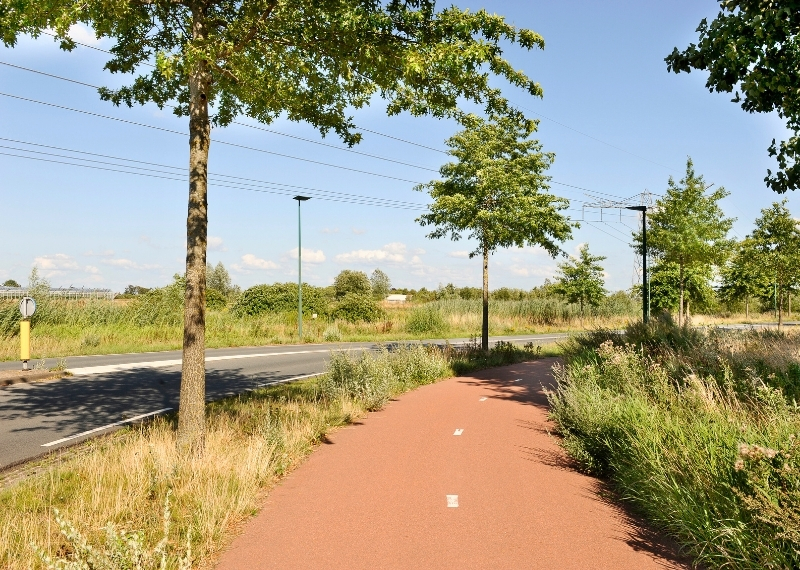 Beljaartlaan Dongen Tree Root Guiding GreenMax (7)