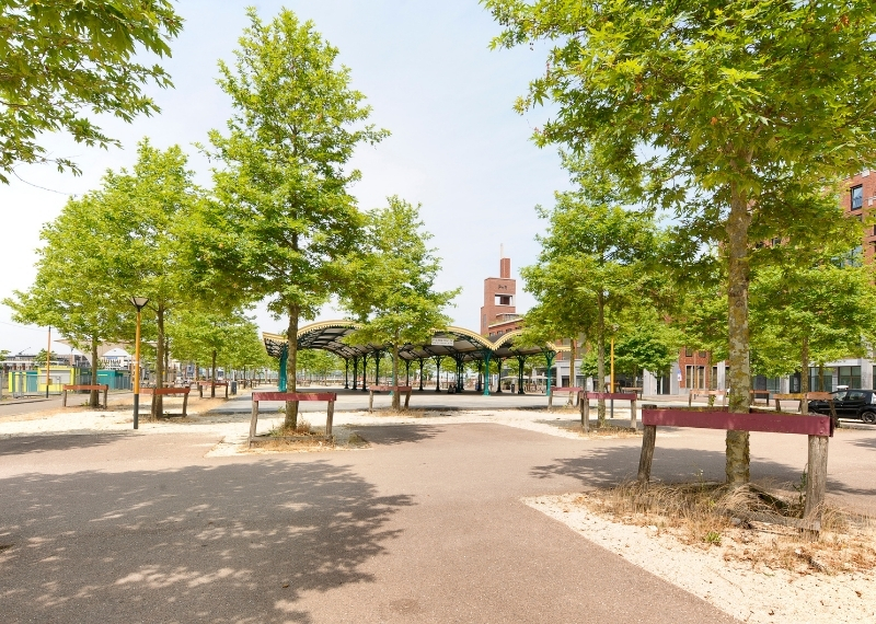 Berlijnplein Utrecht root ball anchoring GreenMax (6)