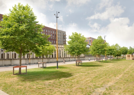 Berlijnplein Utrecht root ball anchoring GreenMax (8)