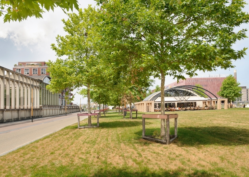 Berlijnplein Utrecht root ball anchoring GreenMax (9)