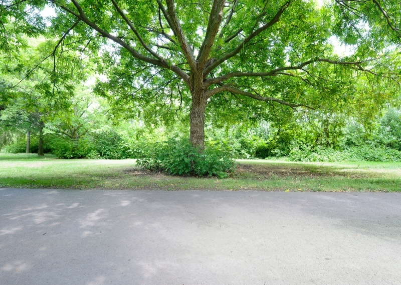 Burgemeester van Zwietenpark vleugelnoten RootControl - GreenMax (3)