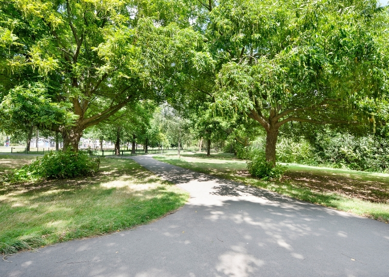 Burgemeester van Zwietenpark vleugelnoten RootControl - GreenMax (4)