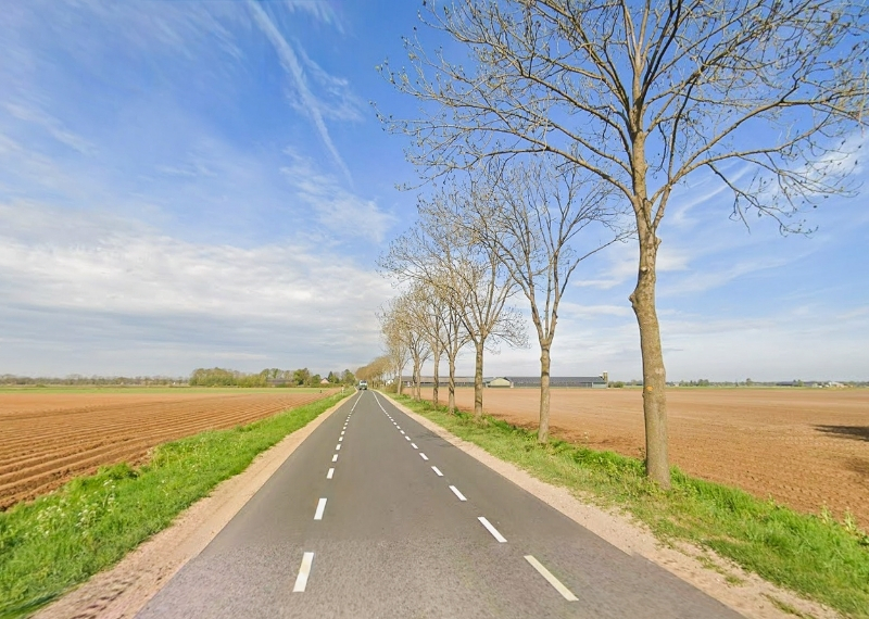 De Bleken Tree Root Guiding - GreenMax