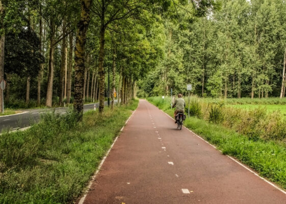 De Steeg root guidance GreenMax (2)