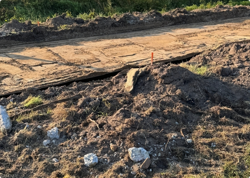 De Steeg root guidance GreenMax (4)