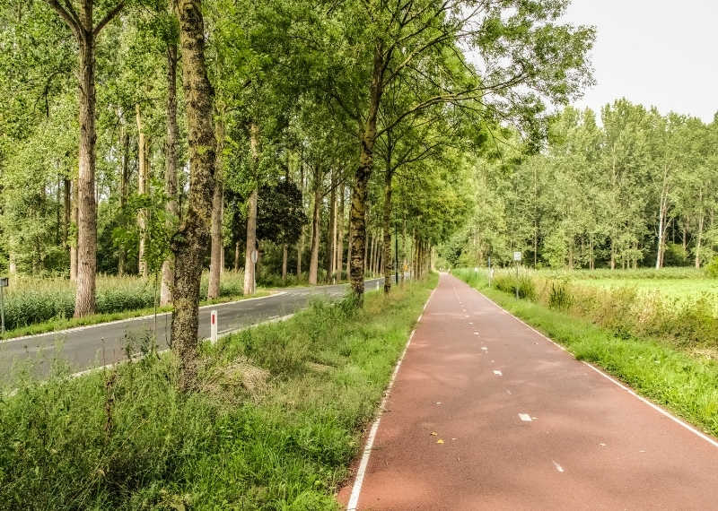 De Steeg root guidance GreenMax (6)