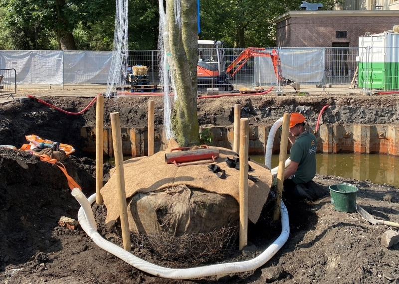 Dierentuin ARTIS Amsterdam - GreenMax (1)