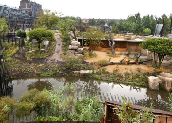 Dierentuin ARTIS Amsterdam - GreenMax (3)