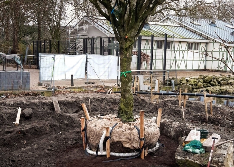 Dierentuin ARTIS Amsterdam - GreenMax (4)