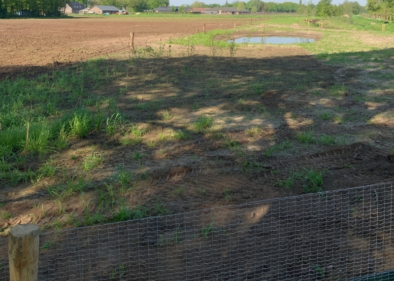 Gemeente Deurne EVZ - amfibiecherm paddenscherm - GreenMax (1)