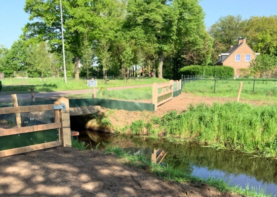 Gemeente Deurne EVZ - amfibiecherm paddenscherm - GreenMax (5)