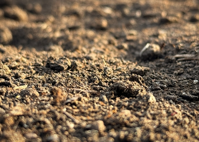 GreenGuard Vermicompost GreenMax (2)