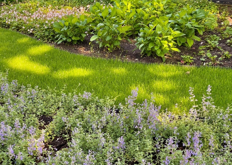 GreenGuard Vermicompost GreenMax (3)