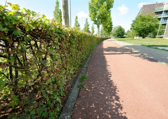 GreenMax root guidance Statenlaan Drunen (3)