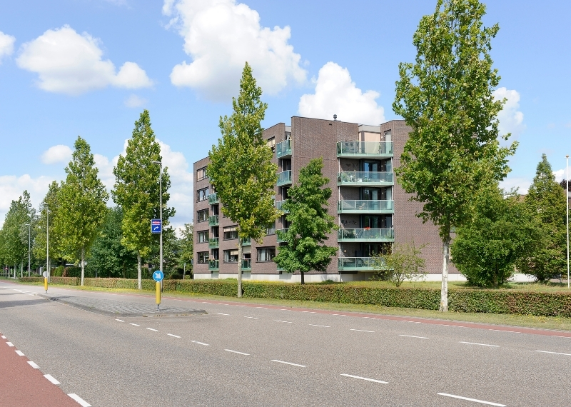 GreenMax root guidance Statenlaan Drunen (4)