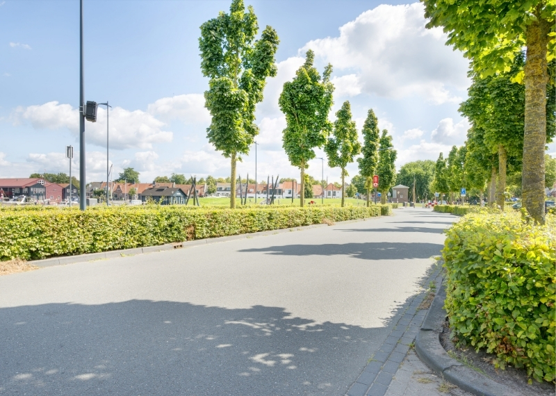 Havenkade Elburg root guidance GreenMax (5)