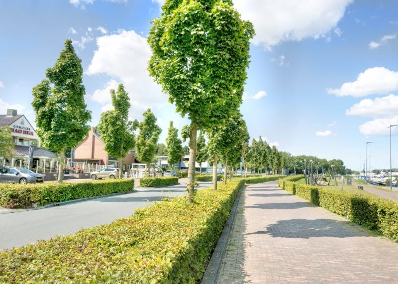 Havenkade Elburg root guidance GreenMax (8)