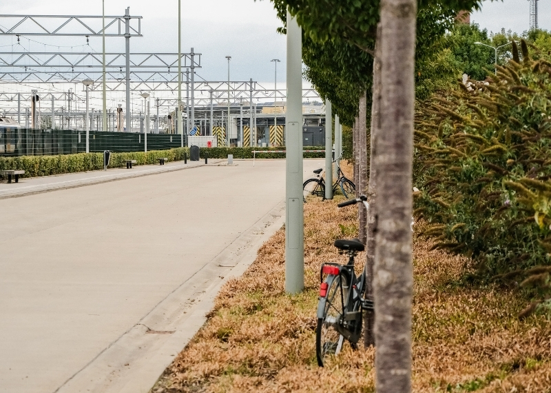 Internationaal Busstation Maastricht Tree Root Guiding (1)