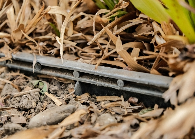 Internationaal Busstation Maastricht Tree Root Guiding (10)