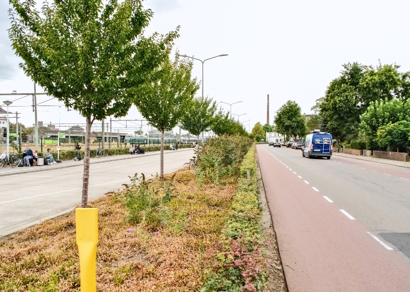 Internationaal Busstation Maastricht Tree Root Guiding (4)