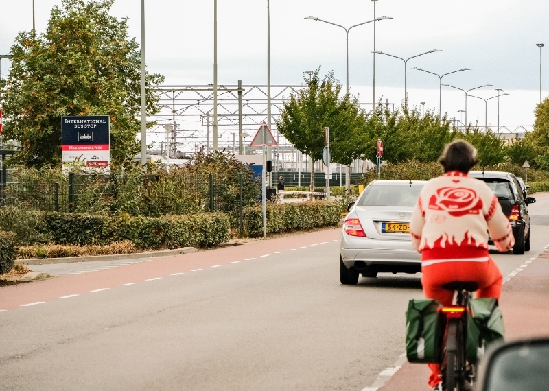 Internationaal Busstation Maastricht Tree Root Guiding (7)