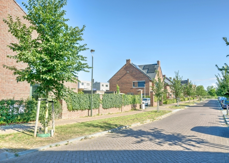 Laakse Tuinen Vathorst wortelgeleiding GreenMax (4)