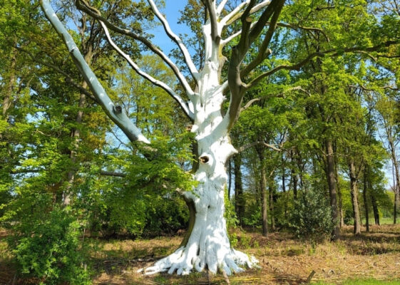 Landgoed Hackfort stambescherming ArboFlex GreenMax (7)