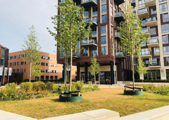 Onderwijsboulevard Hofplein Den Bosch gietranden - GreenMax (1)